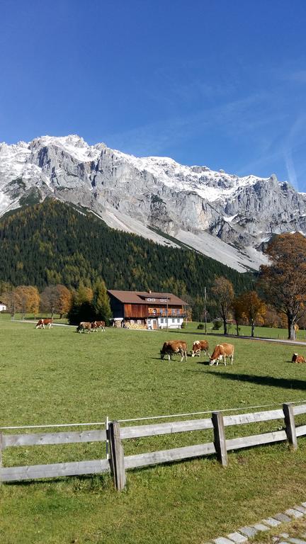 Alpenhaus Birkhahn Hotel Ramsau am Dachstein Kültér fotó